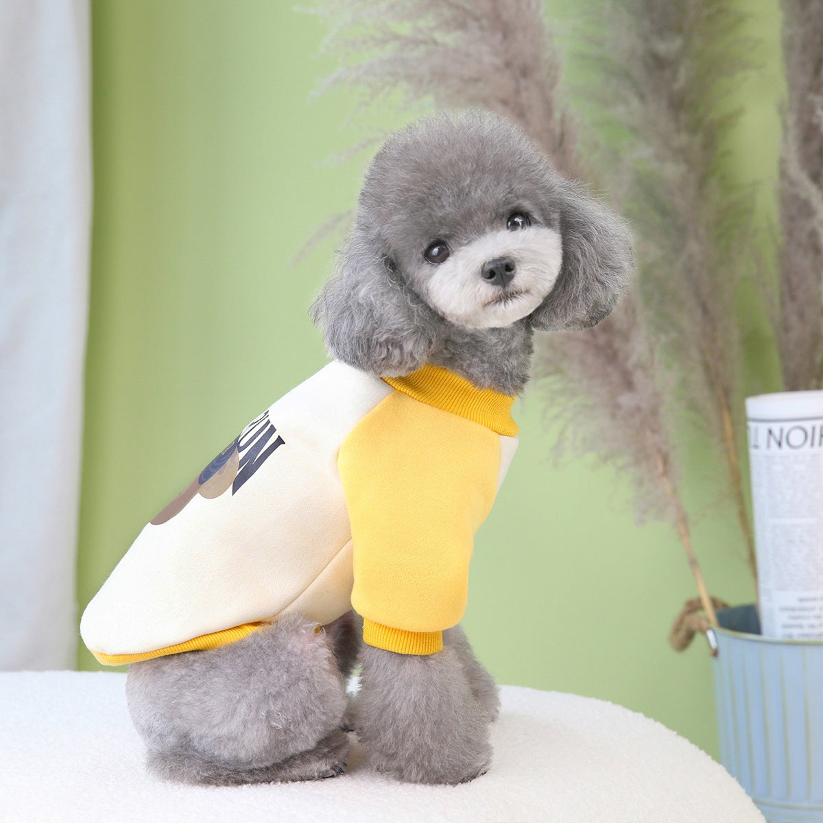 猫 犬 洋服 犬服 ペット服 大中小型犬 ペット用品 犬/猫用 犬の服 ペットウエア 小型犬 中型犬 通気 可愛い ドッグウェア トレーナー 犬 服 ワンピース サロペット ビションフリーゼ 犬猫服