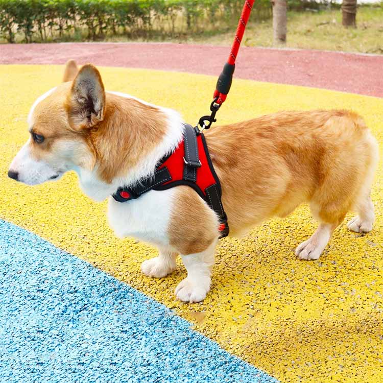 キャンペーン価格抜けない 抜けにくい 犬 ウェアハーネス 中型犬 大型犬 小型犬 外出 3点セット 避難 ハーネスリードセット 負担の少ない ステップハーネス 調整可能 首輪 犬用 脱出防止 通院 ハ