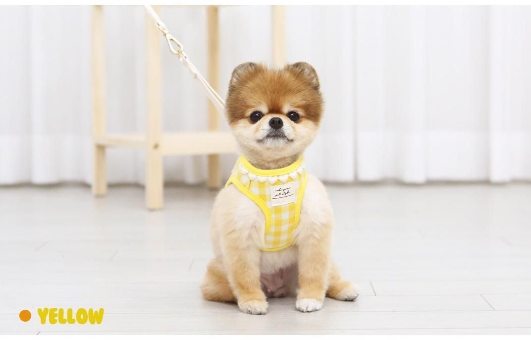 韓国版の中で小型の犬のテディは熊のコーキに比べて外出して犬を散歩します メガ割ワンピースパンツトートバッグ