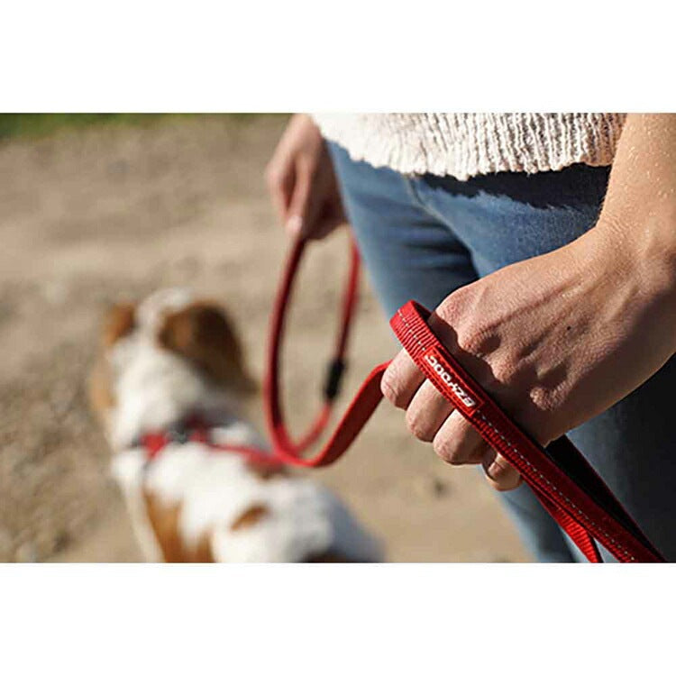 【人気商品】EZ リード ゼロショックライト 120cm EZYDOG