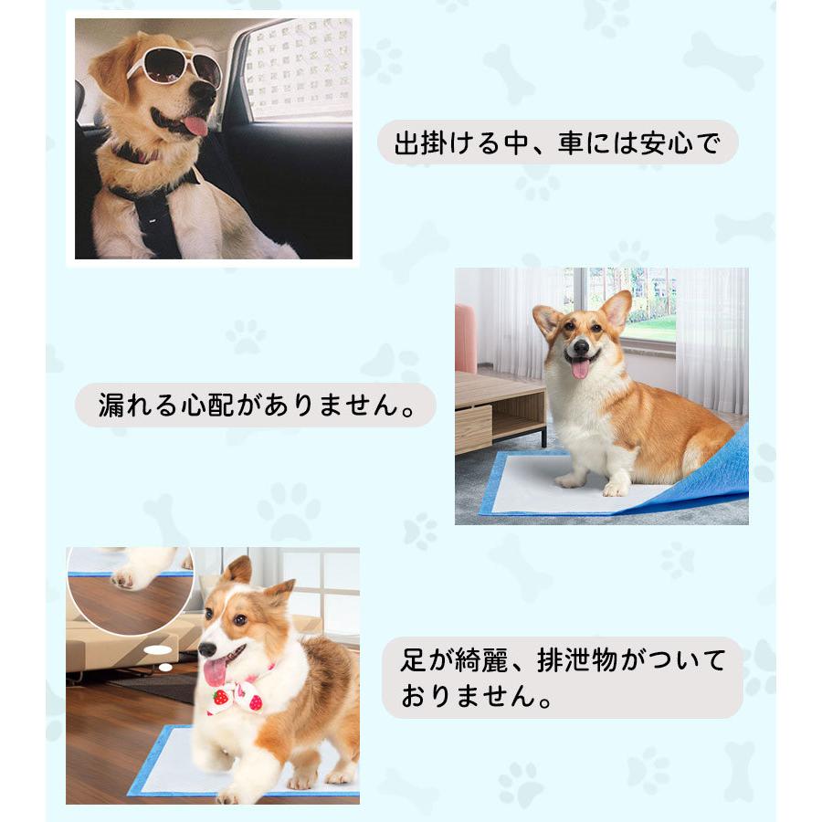 3日以内に出荷 明日まで値下げ ペットシーツ 薄型 ワイド スーパーワイド ペット用品 トイレシート 100枚 50枚 スピード吸収 ねこ うさぎ モルモット 使い捨て 期間限定オファー
