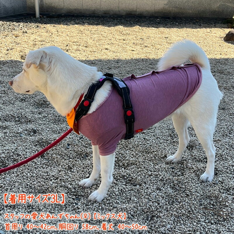 <a href="https://www.qoo10.jp/gmkt.inc/Search/brand.aspx?brandno=125763" target="_blank" class="title_brand" id="btn_brand" title="Coo Couture">Coo Couture</a>SWDテラヘルツワンベルクロTシャツペット介護 犬用ペットウェア 中型犬 大型犬 犬服 テラヘルツワン クークチュール 2メ-3運 12137 【T】