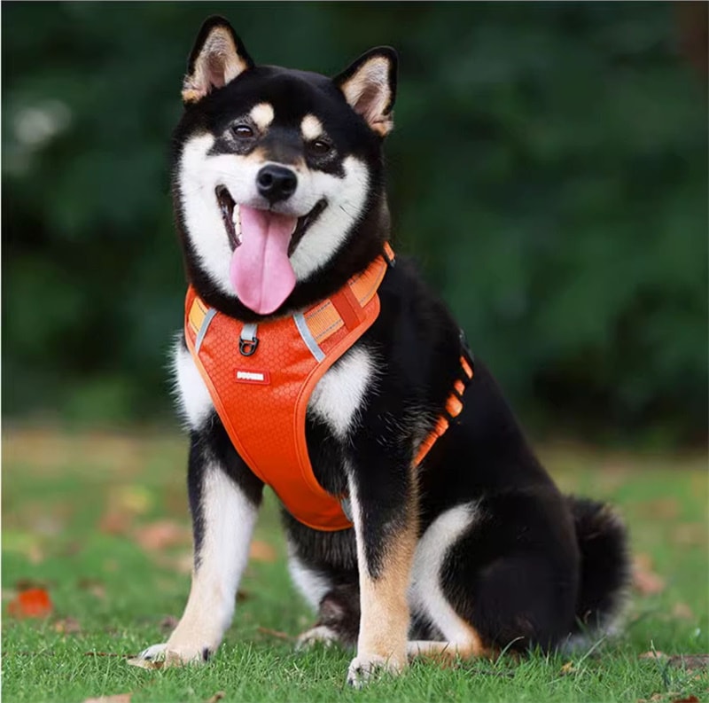 犬ハーネス 犬用 ハーネス 犬用胴輪 反射材料付き 装着簡単 喉にやさしい 小型犬 大型犬 散歩/訓練/お出掛 ペット はーねす 安全 抜けない 軽量 調節可能