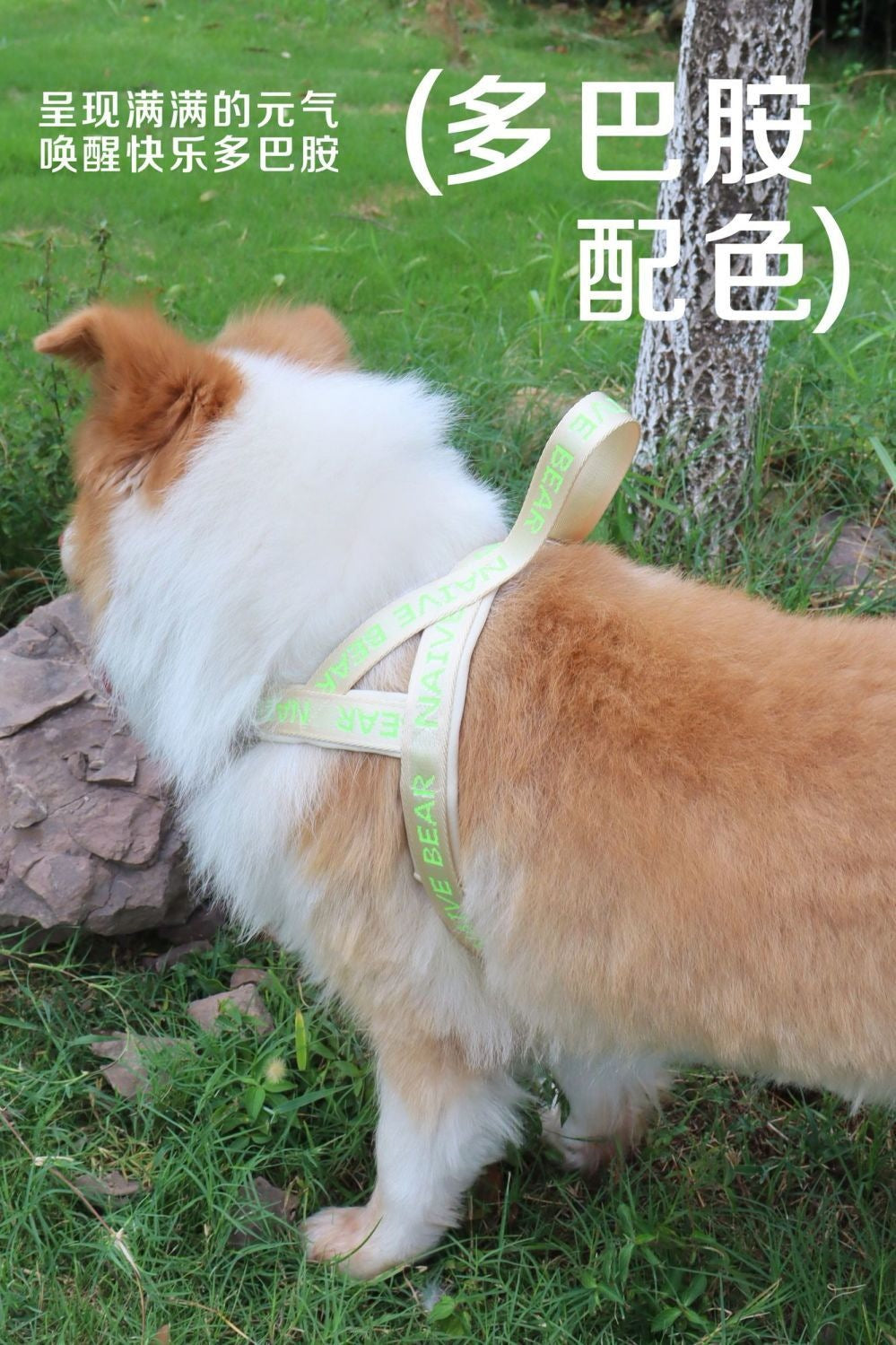 犬牽引ロープベストサドルペット防爆ペット犬ストラップ中小型熊テディコーキ外出通用 メガ割ワンピースパンツトートバッグ