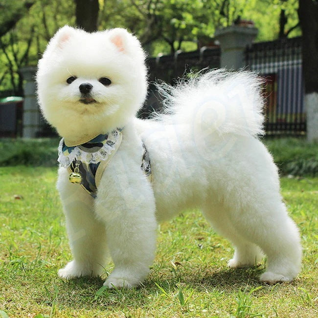 ペット用品犬の服犬用ハーネスリード3色カモフラージュストロベリーレースかわいいファッショナブルな安全482