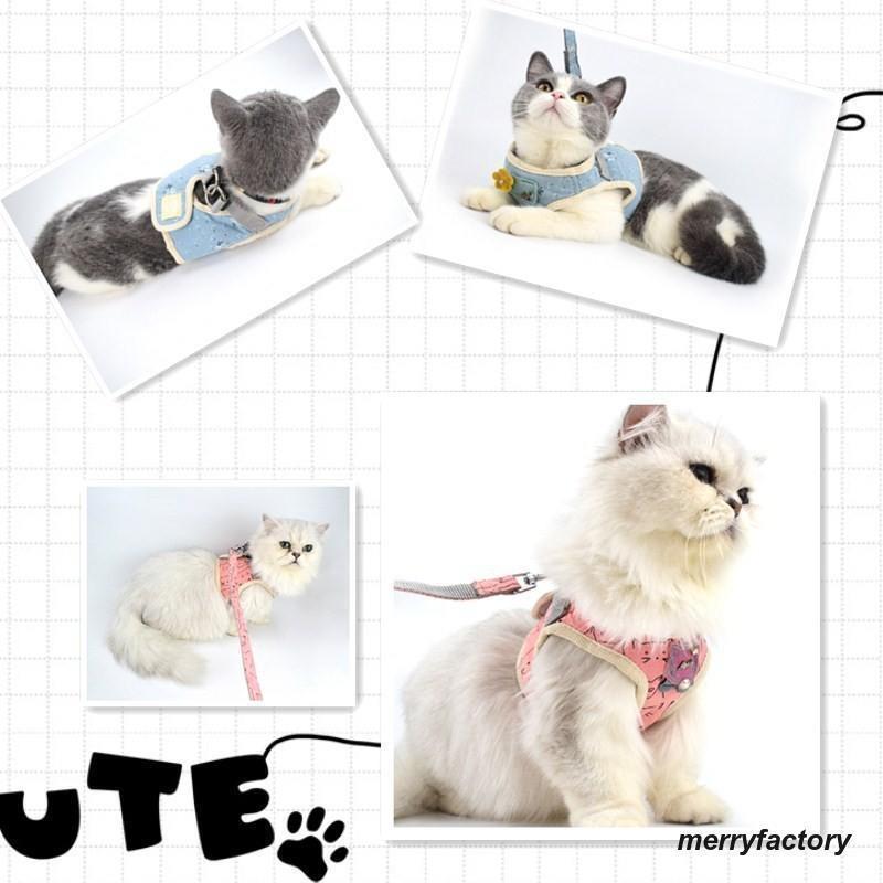 今年の流行 ハーネスリードセット 2点セット 犬用 猫用 胴輪 ハーネス リード 散歩紐 お散歩グッズ 簡単装着 メッシュ ベスト 胸当て ペット用 おしゃれ か