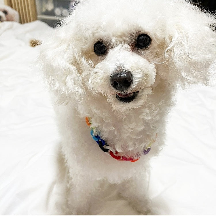 ペットチェーンカラーネックレス ペット用首輪 首輪 犬 猫 小型犬 中型犬 可愛 ペット用アクセサリー ペットグッズ シンプルカラーペット用首輪
