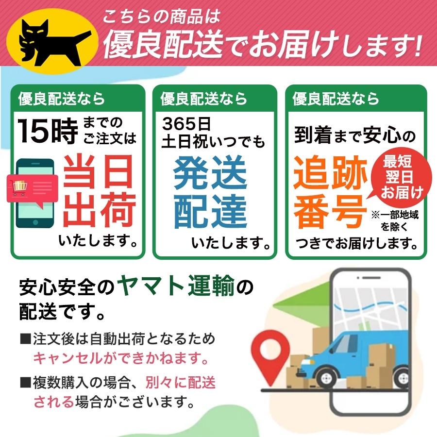 光る首輪 光る 充電式 散歩 首輪 LED おしゃれ 犬 夜 ペット レインボー 猫 USB ライト