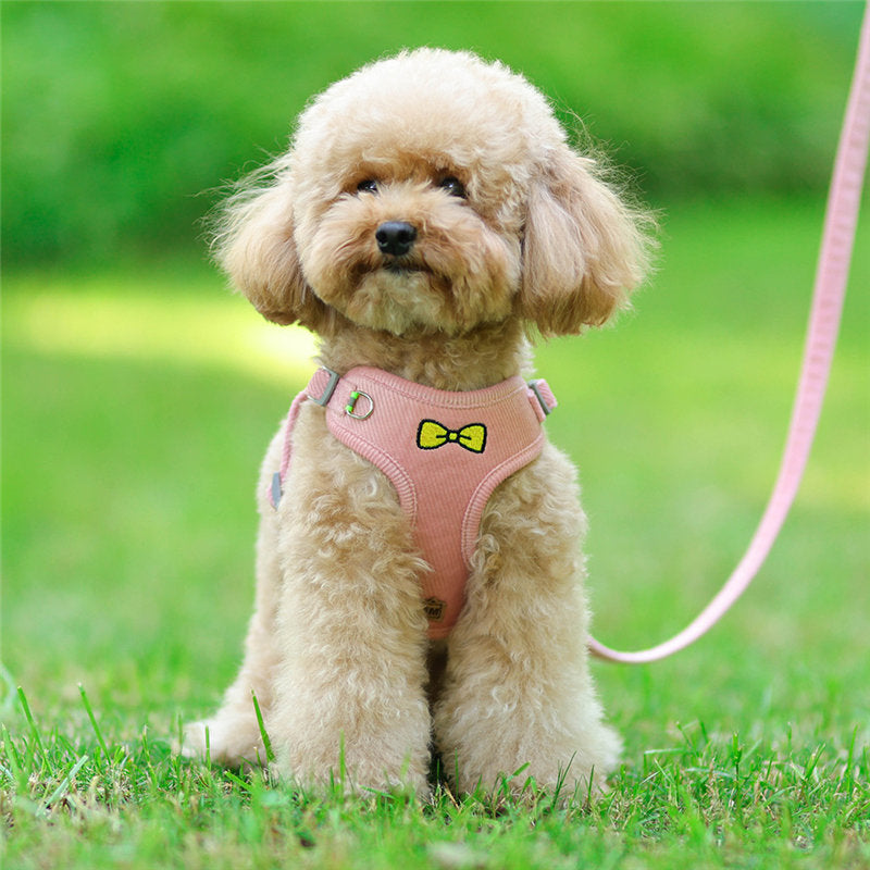 中型犬小型犬散歩グッズ 簡単装着 犬 脱げない 首輪 4カラー 苦しくない ハーネスリードセット おしゃれな