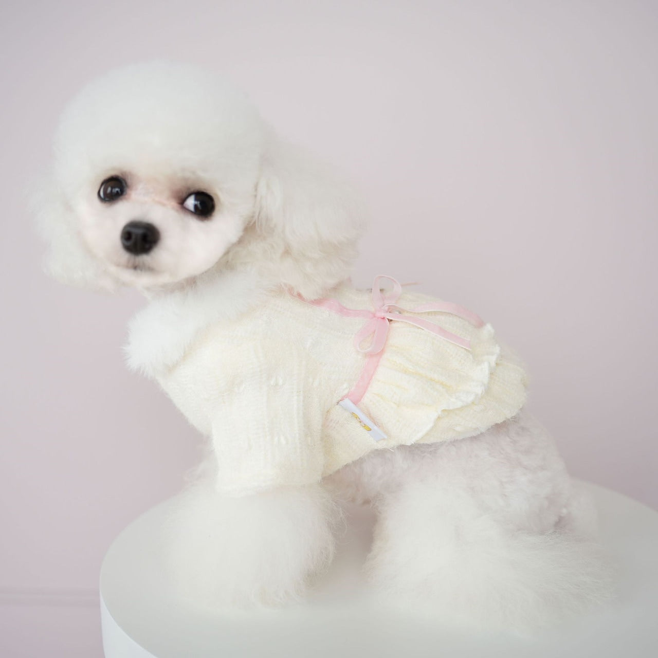 犬服ペット猫服かわいいソフトウールふくらませドレス快適ソフトもちもち冬居心地の良い暖かい服