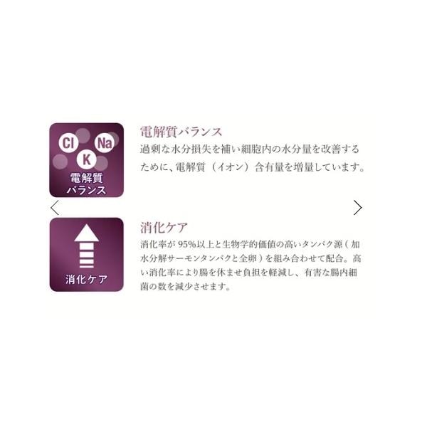 VetSolution ベッツソリューション 犬用 胃腸サポート 3.0kg ドッグフード 犬 餌 療養食 消化不良 胃腸炎 Monge