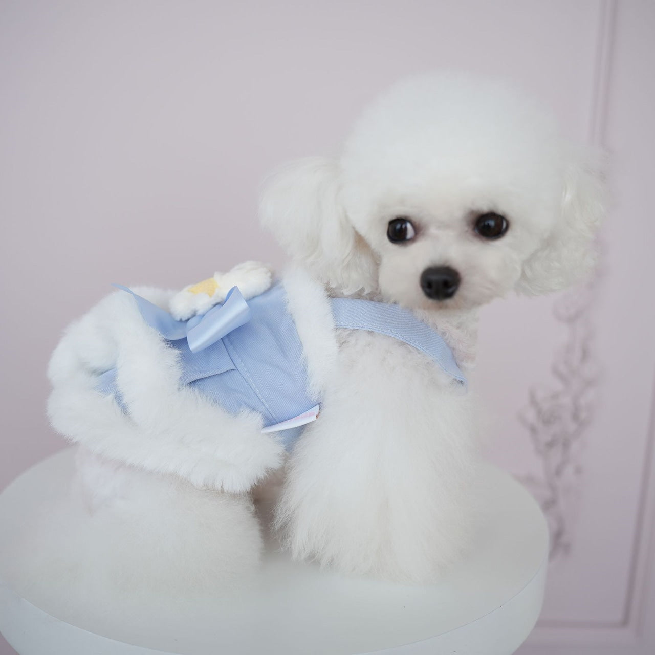 犬の服ペット犬服秋冬新作ファーボーダースリングベアドレステディビションコーギー服