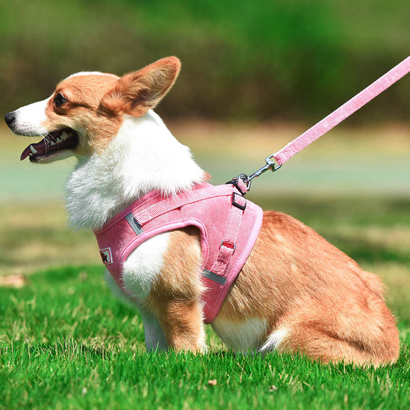 犬 小型犬中型犬 おしゃれな 苦しくない 高級秋冬物 4カラー 脱げない ハーネスリード