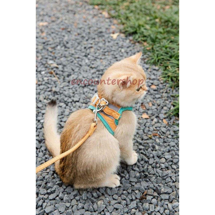【輸送費無料】ハーネス 猫 猫用 リード ウェアハーネス 胴輪 ねこ マジックテープ ペット リード付き キャット