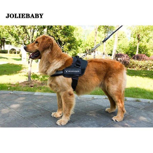 犬用ハーネスリード 牽引ロープ リードセット 犬 猫 ペット牽引縄 ドッグリード 小型犬 中型犬 大型犬 引っ張り防止 ペット用品 ハーネス 胸あて式 お散歩グッズ