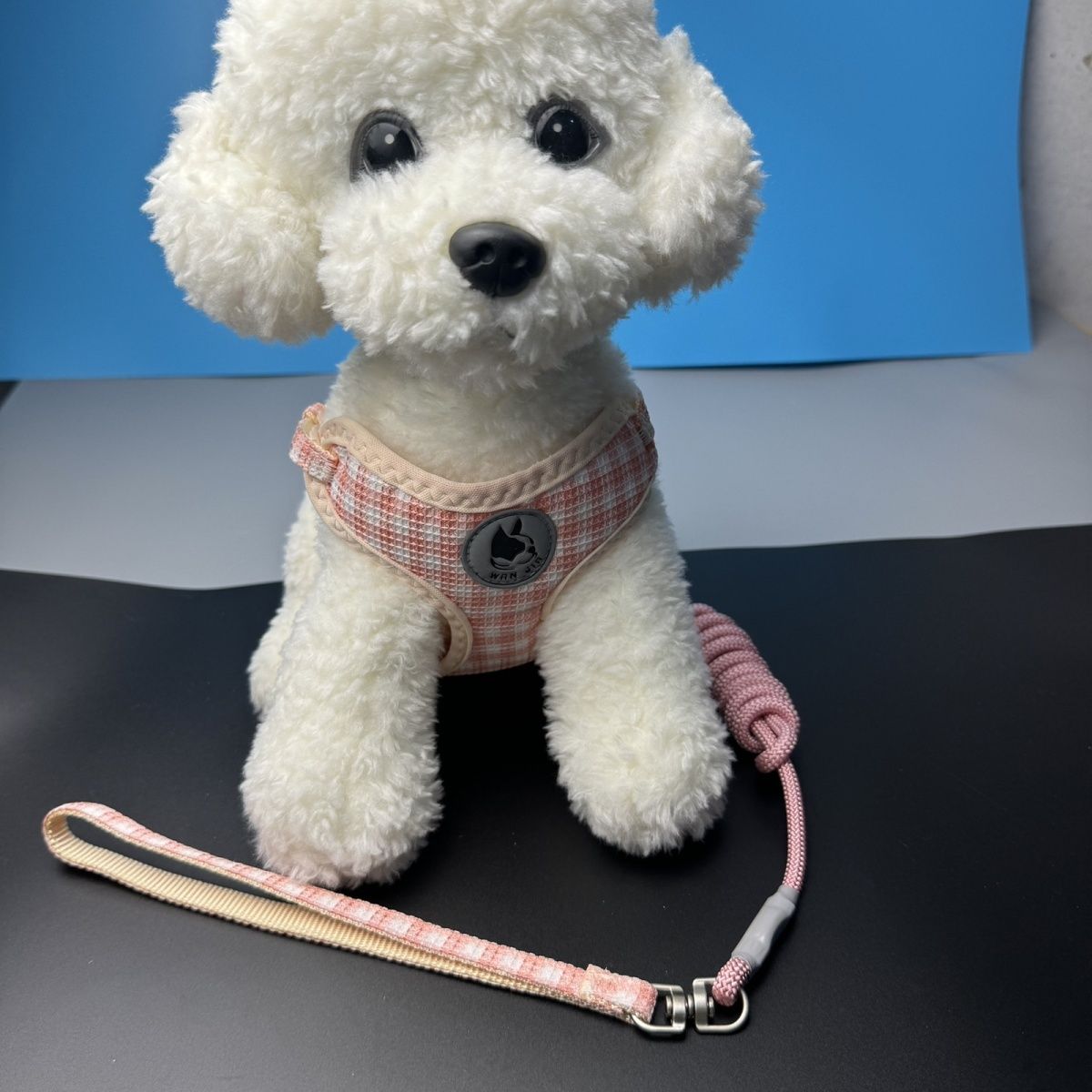 夏の新型のベスト式の犬のひもを散歩して外出します