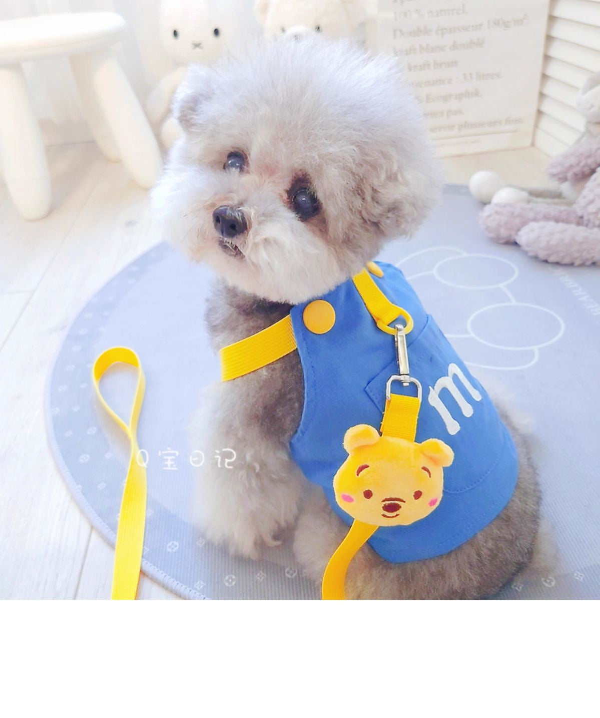 ペットの猫の小型犬のテディの犬の胸のストラップの牽引ロープのベスト式のドッグランの犬のひものかっこいいかわいい衝突色 メガ割ワンピースパンツトートバッグ