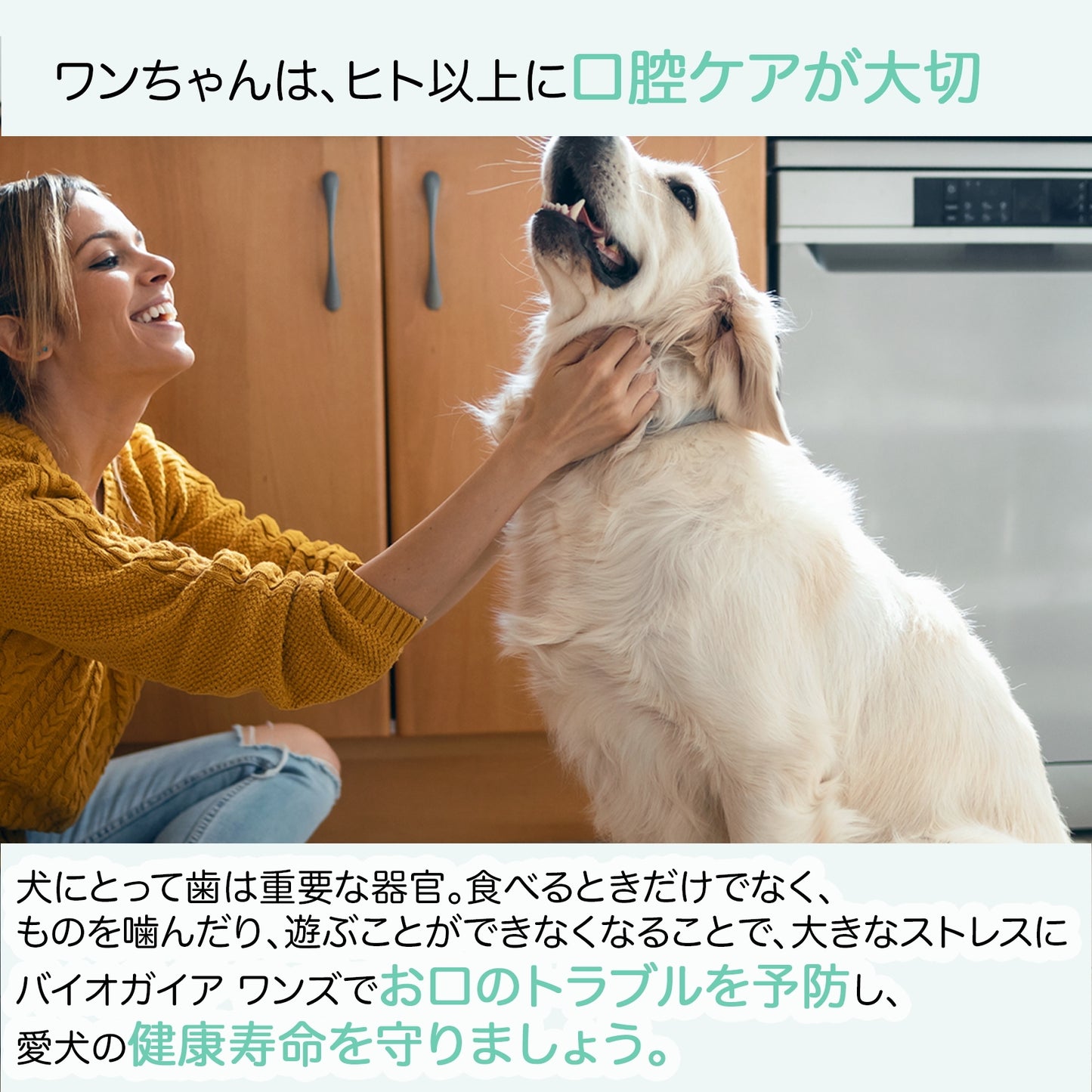 <a href="https://www.qoo10.jp/gmkt.inc/Search/brand.aspx?brandno=112140" target="_blank" class="title_brand" id="btn_brand" title="BioGaia">BioGaia</a>【公式ストア 即日発送】ワンズ Wans 10ml(犬用)ペット用 口臭対策 乳酸菌 ロイテリ菌 マルチプロバイオティックス