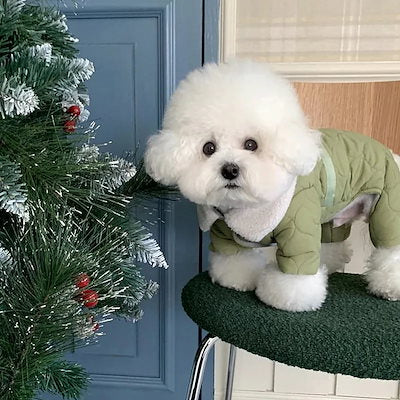 2025秋冬新作 ペット服 犬の服 犬猫服 テディビーベア ヨークシャー 小中型犬 服 快適 ペット用品 犬用品 散歩 防寒 秋冬服