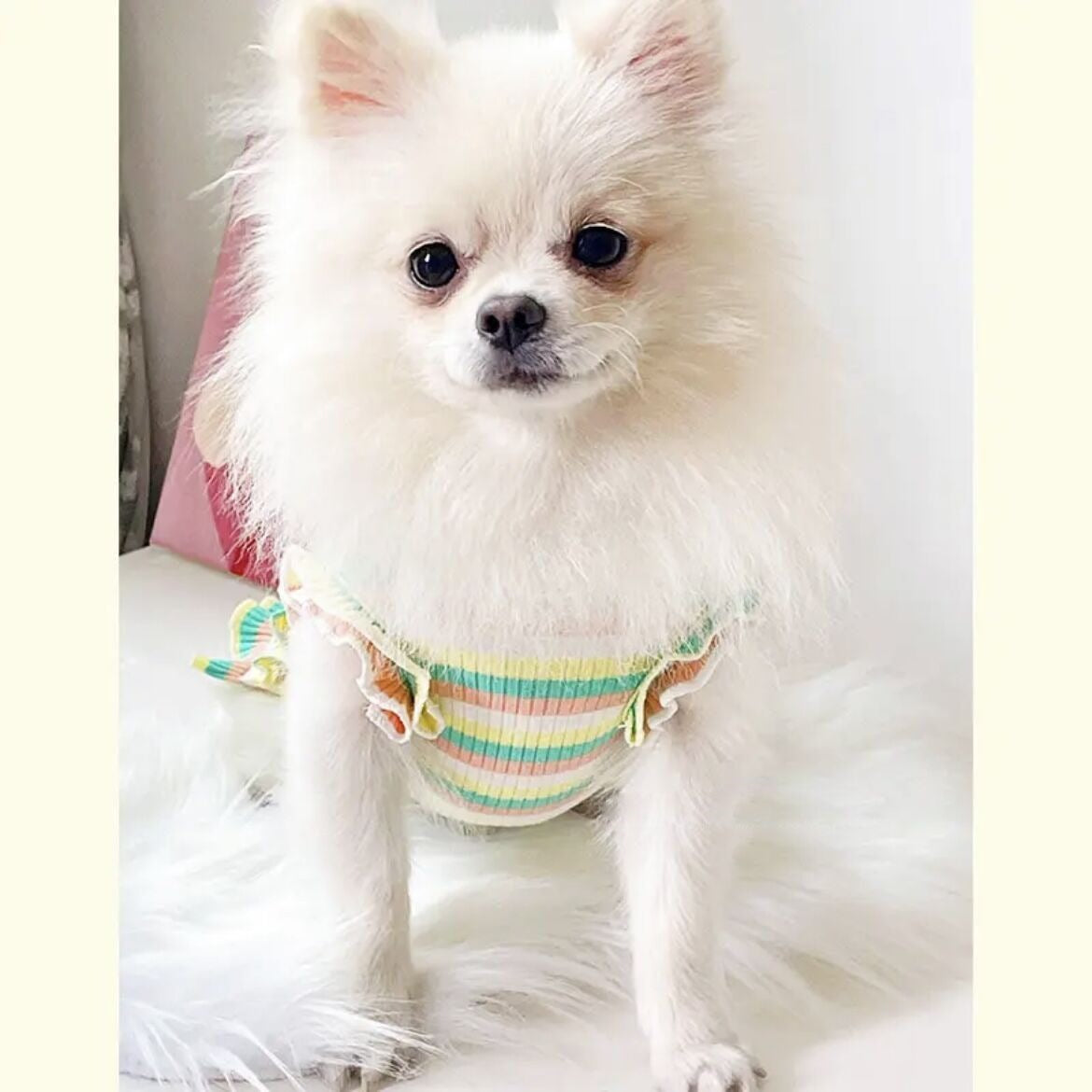 夏用 カラフルストライプ花柄ベスト 小型犬用 涼感素材 通気性抜群 トイ・プードル チワワ ポメラニアン 犬 服 犬 服 犬服 犬の服 ペット用品 ハーネス 小型犬
