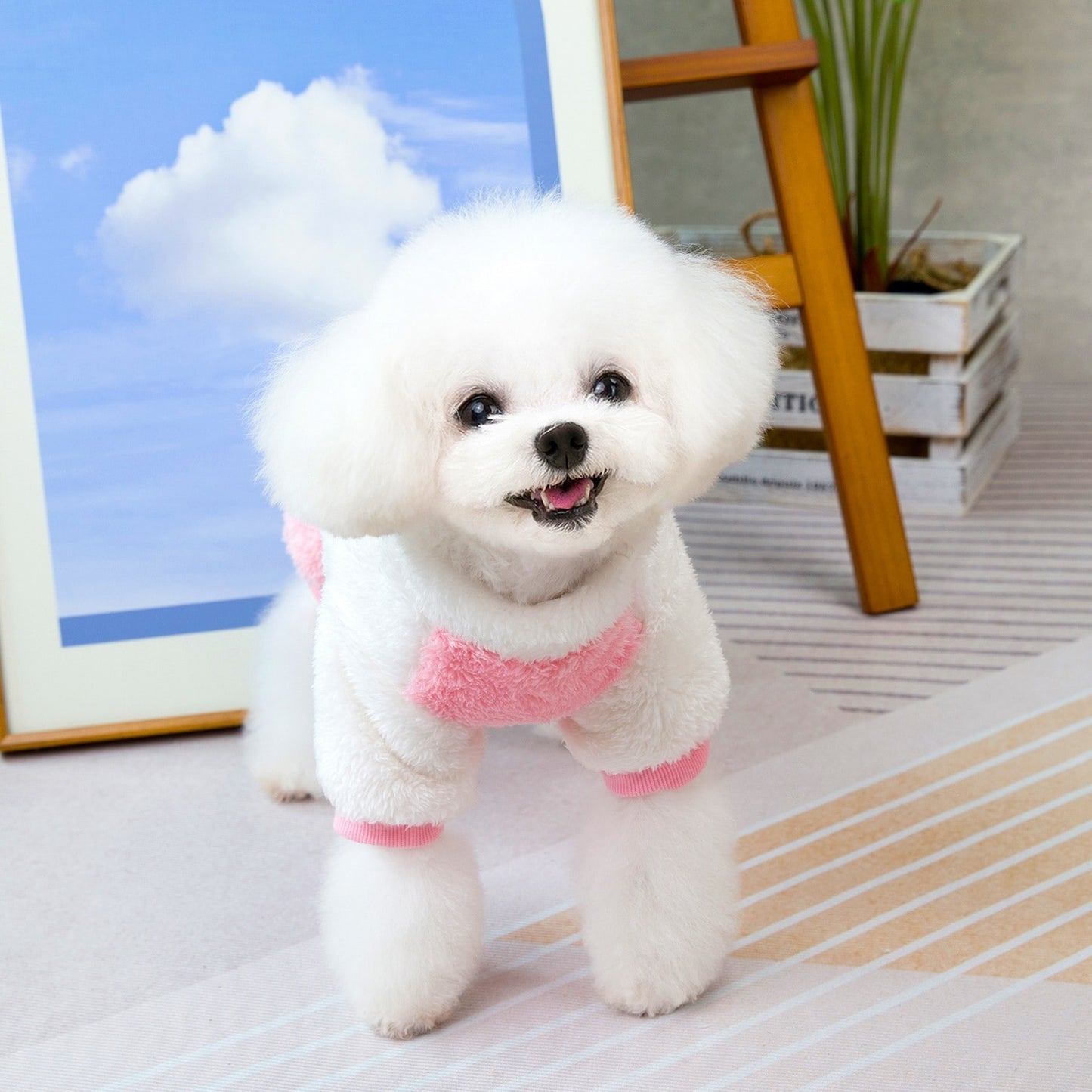 人気犬の服ペット服小型犬猫が着ることができる秋と冬の新しい暖かい快適なアヒル4脚フリースジャケット