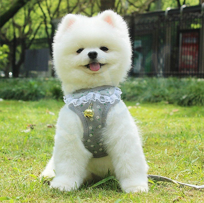 ペット用品犬の服犬用ハーネスリード3色カモフラージュストロベリーレースかわいいファッショナブルな安全482