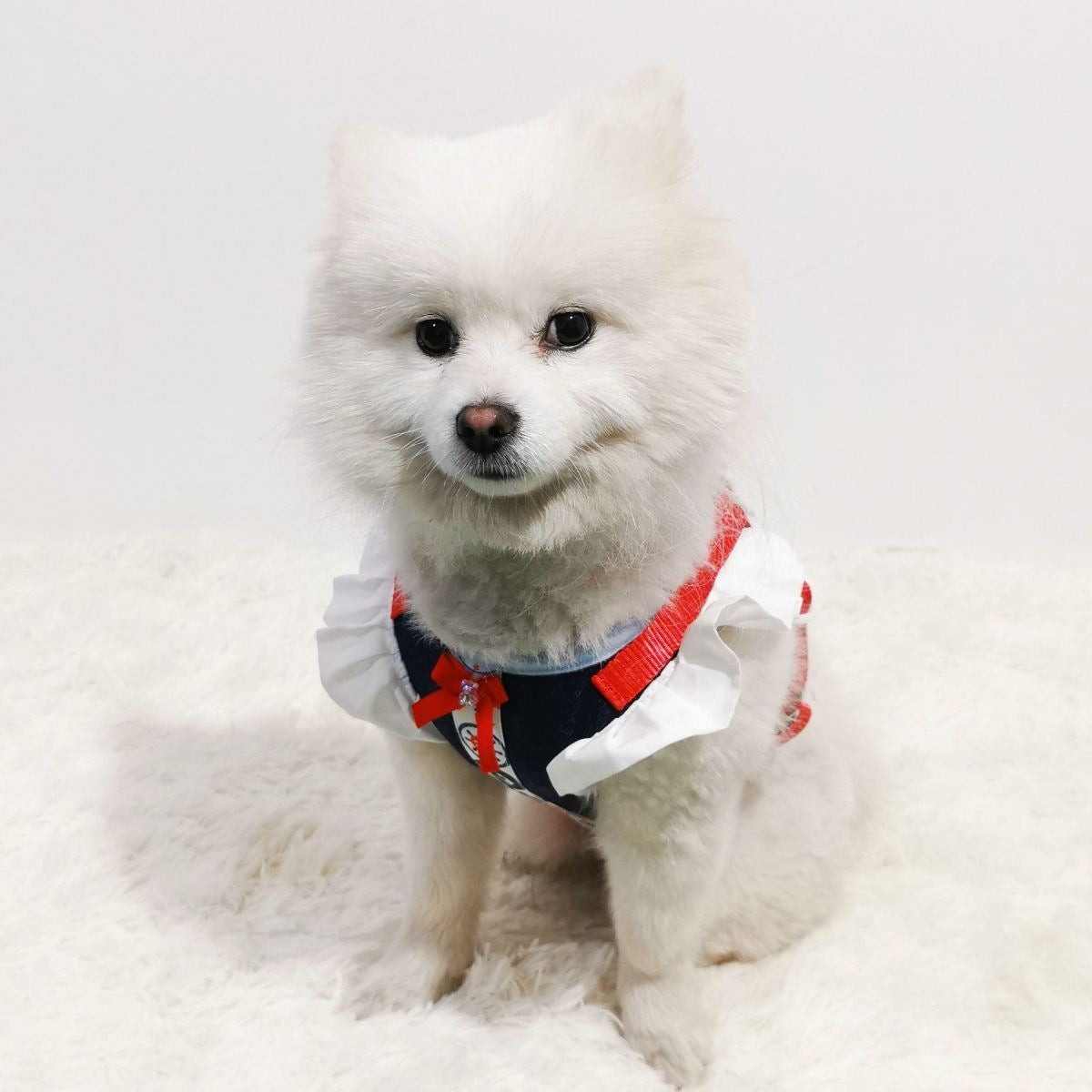 デニム風の犬の牽引紐のベスト式の飛袖の犬の牽引は胸のベルトのテディの熊の服を防ぎます メガ割ワンピースパンツトートバッグ