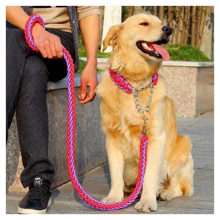 首輪付きリードセット セット ハーフチョーク 全11色×4サイズ XL + しつけ ペット 首輪 犬 中型犬 大型犬 パラコード S M L リード