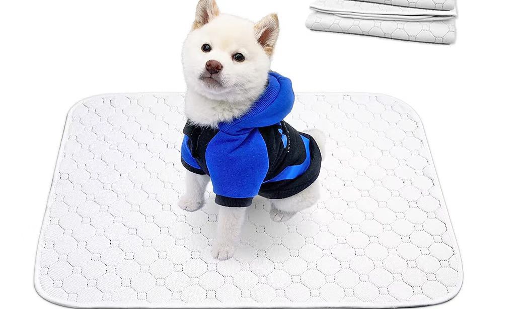 洗えるペットシーツ 洗える 滑り止め 犬シーツ ワイド おしっこシート ペットシーツ 消臭 丸ごと洗える 下敷きマット 四重構造 漏れ防止 速乾 中型 大型 犬 猫 犬用 おしっこパッド エ