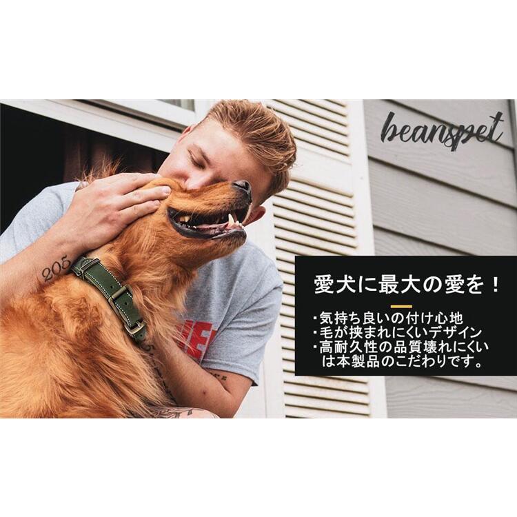 首輪 犬 ベーシック 毛挟まれ防止 犬首輪 革 おしゃれ かわいい 中型犬 犬の首輪 柴犬 いぬ く