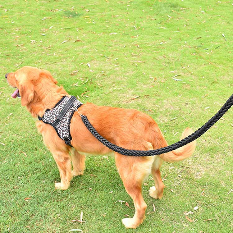 キャンペーンハーネス 犬 大型犬 柴犬 3点セット 抜けない 小型犬 調整可能 ハンドル付き 抜けにくい ハーネスリードセット 3点セット ステップハーネス 脱出防止 ウェアハーネス 犬用 ペットハー