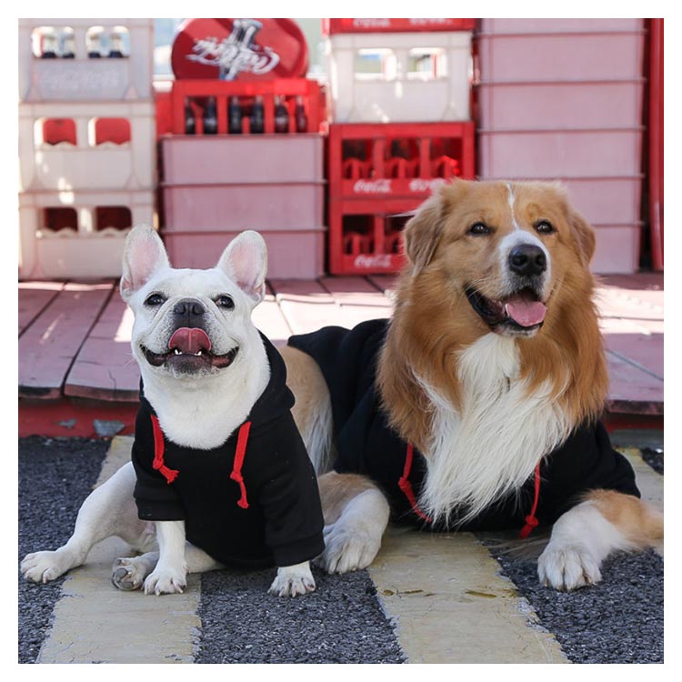 メガ割 無中型チェック薄ドッグウエパーカ大型フード付猫犬XS-6スウェッお散小型おしゃ可愛大きいサイ小さいサイズ