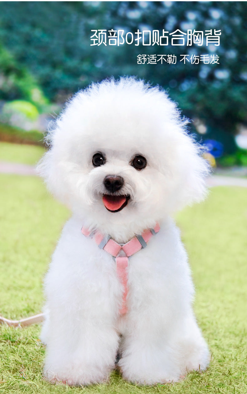 お散歩 胴輪 ネコ用ハーネス 犬 簡単装着 犬用 犬用ハーネス ペット用品 ハーネスリードセット お出かけ 132 小型犬 おしゃれ ハーネス リーシュ ペットハーネス 軽量 リード シンプル 猫用