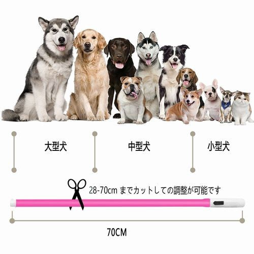 小型犬 プレゼントラッピング無料 犬 中型犬 シリコン 大型犬 防水 猫 LED 夜の散歩 首輪 取り外し可能 光る
