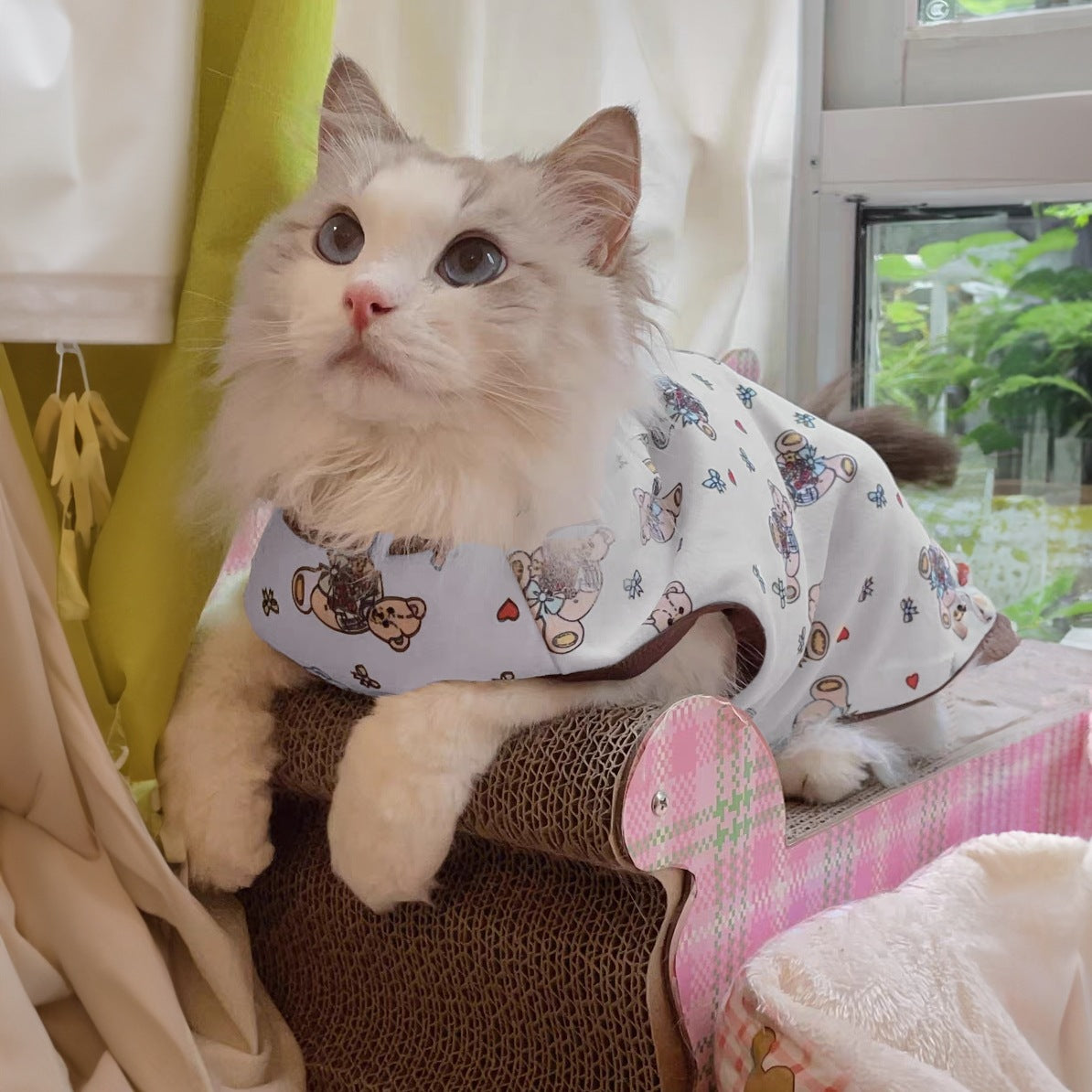 犬猫牽引ロープお姫様風通気ロープ小型犬かわいい子犬ペット胸帯猫服