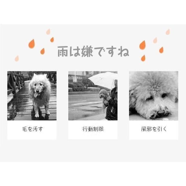 ドッグウェア 犬用 レインコート レインウェア ペット 犬の服 フード付き 犬服 雨具 ペット用品 雨の日 レインコート ワンちゃん 防水 散歩 お出かけ 梅雨対策