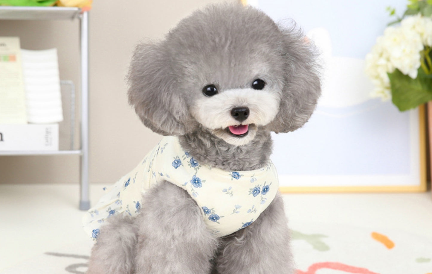 猫 犬 洋服 犬服 ペット服 大中小型犬 ペット用品 犬/猫用 犬の服 ペットウエア 小型犬 中型犬 通気 可愛い ドッグウェア トレーナー 犬 服 ワンピース サロペット ビションフリーゼ 犬猫服