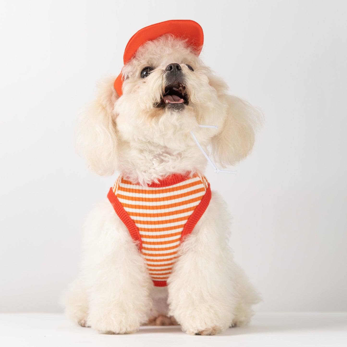 犬 洋服 春夏犬服ボーダーベスト帽子リードスリング小型犬猫ペット服
