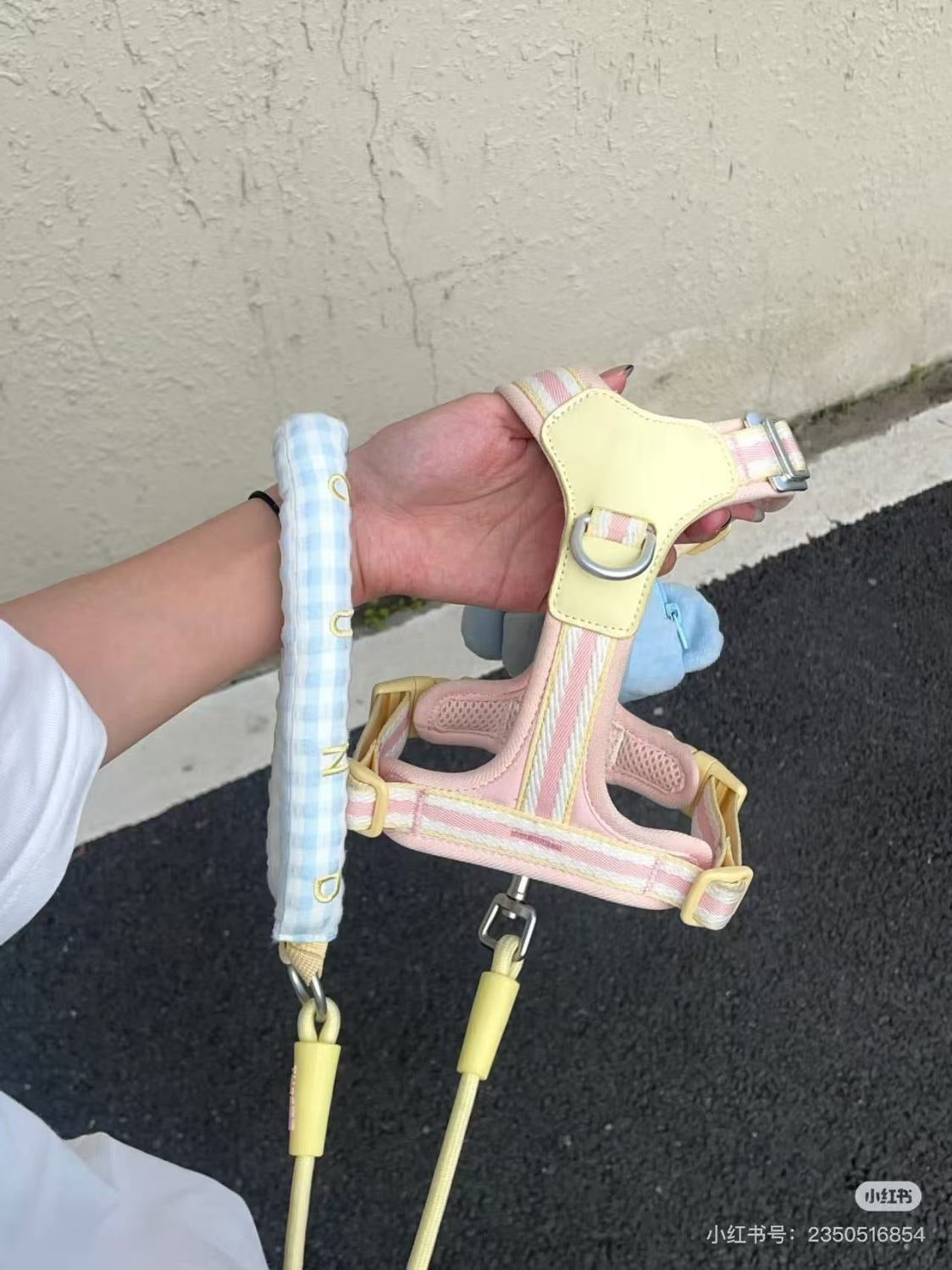 創意的にかわいい犬のペットの牽引紐猫の胸の包みの装飾品の小型犬の外出の胸の帯は犬のロープを散歩します メガ割ワンピースパンツトートバッグ