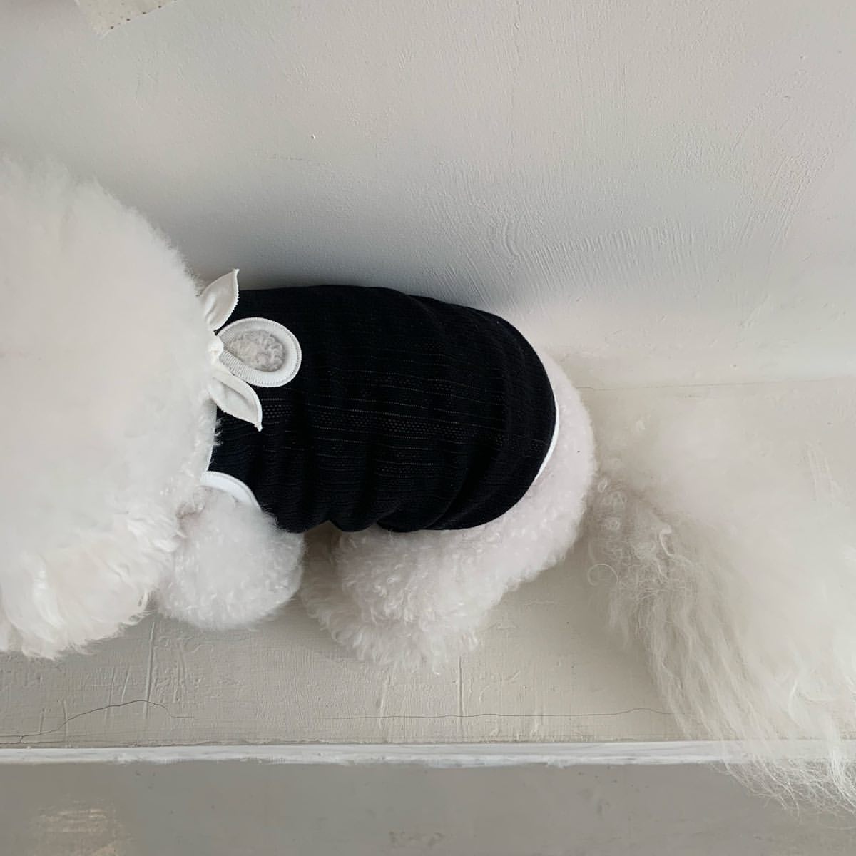 春夏新作 犬服 ペット服 犬 洋服 ペット 犬用品 小中型犬 春夏薄手犬服猫小型犬キャミソールベスト