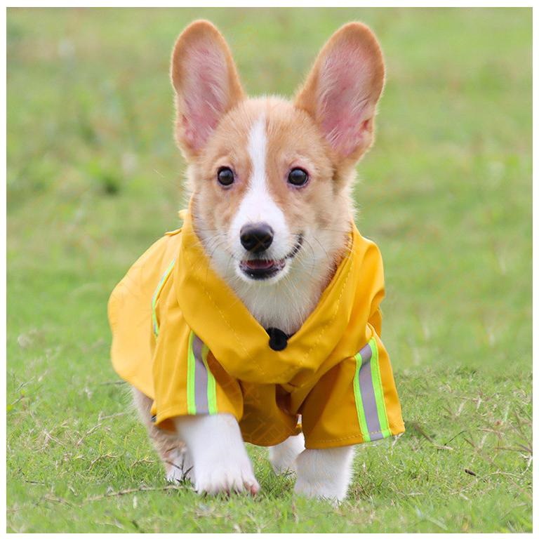 ドッグウエア 犬服 猫服 ペット服 ペットウエア 犬 猫 愛犬 ペット ペット用品 カラフル ペットグッズ 洋服 春 夏 秋 カジュアル レインコート かわいい 撥水