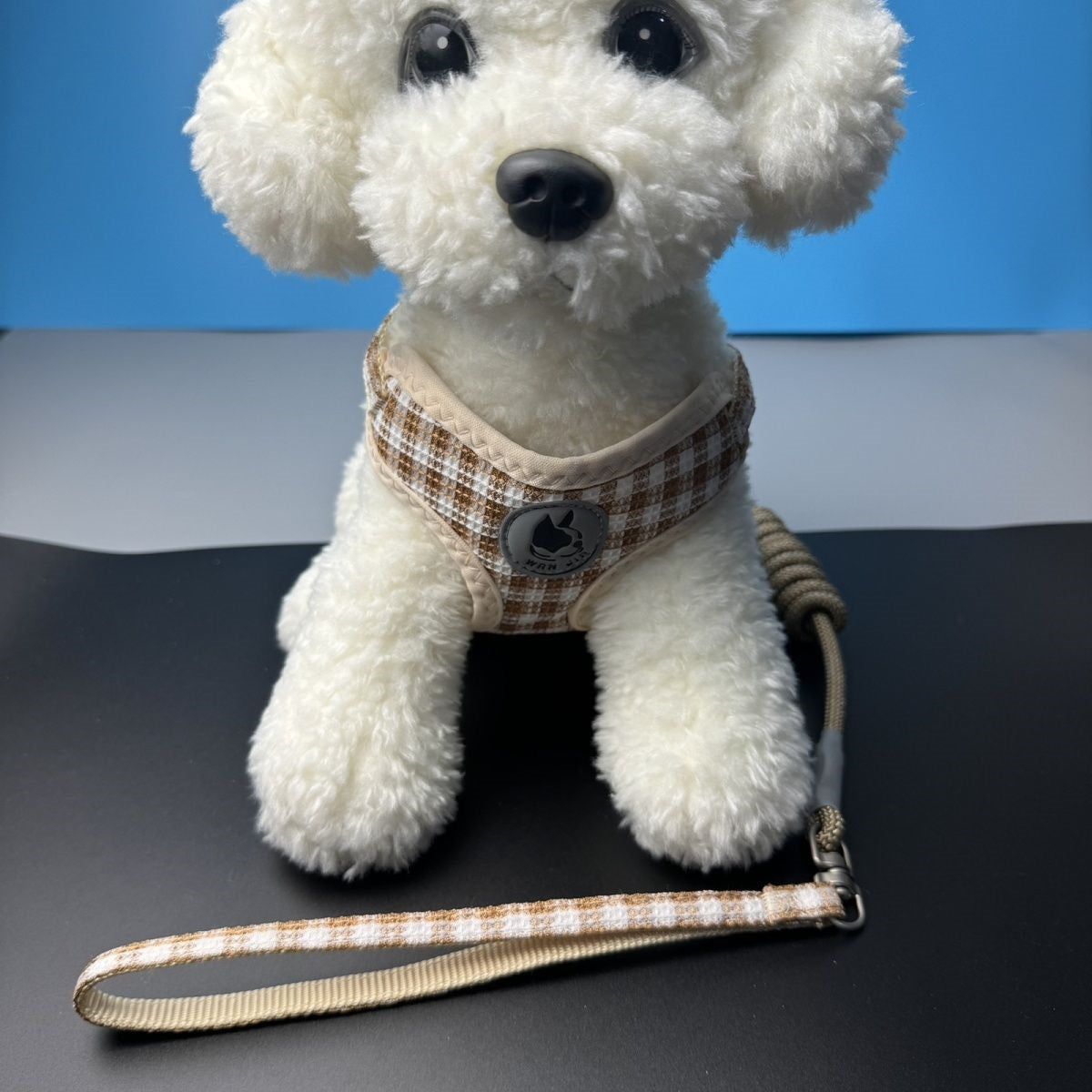 夏の新型のベスト式の犬のひもを散歩して外出します