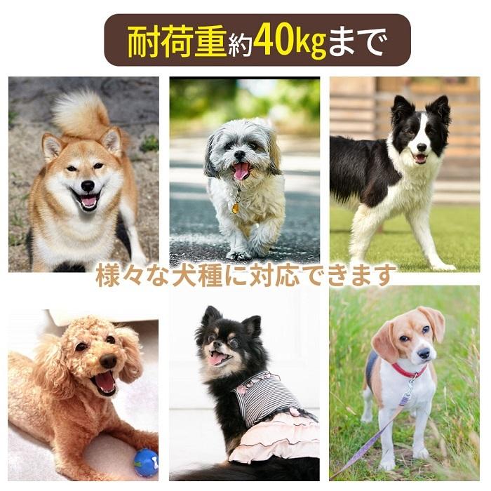 犬 リード 8m 伸縮 ペットリード ロング 小型犬 中型犬 散歩 ワンタッチロック 長い 巻き取り 犬リード ロングリード