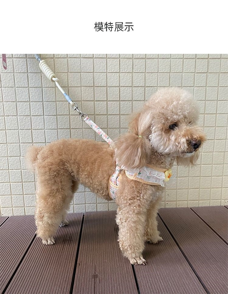 犬の牽引紐レースの胸の帯のテディ比熊の小型犬の牽引犬の縄は犬のひもの犬のチェーンを散歩します