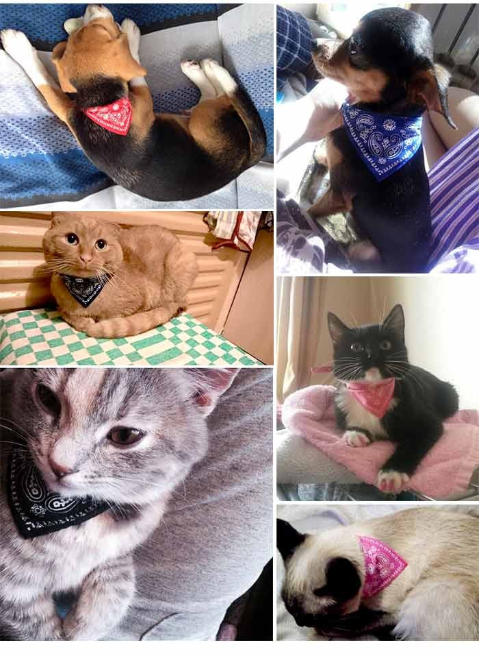 スタイル バンダナ ペット 服 犬 猫 首輪 ペットグッズ ベイズリー スカーフ キャット ドッグ