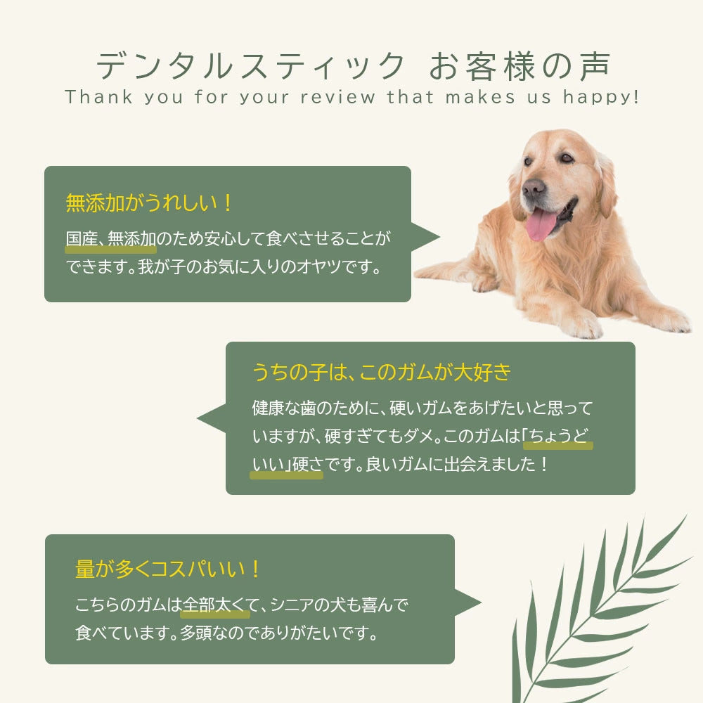 <a href="https://www.qoo10.jp/gmkt.inc/Search/brand.aspx?brandno=60969" target="_blank" class="title_brand" id="btn_brand" title="ガム">ガム</a>犬用おやつ デンタルスティック 国産 無添加 200本 (50本4袋) ペット はみがき 犬用 おやつ 着色料不使用 保存料不使用 小型犬 中型犬 大型犬