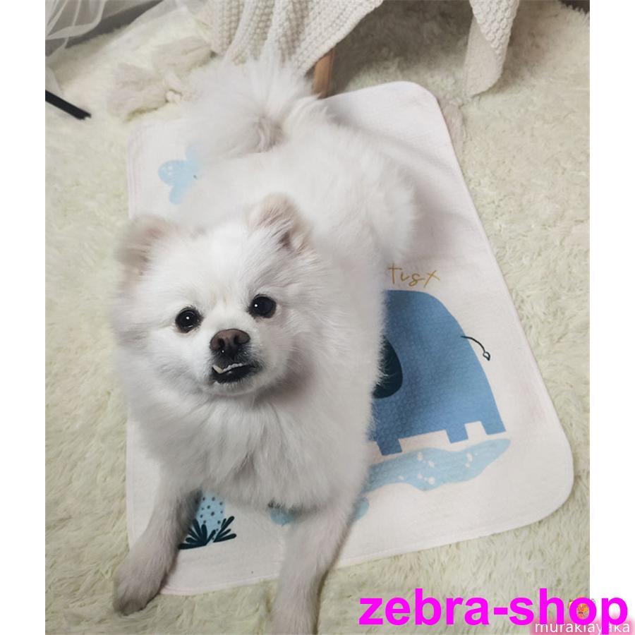 2-5日出荷 新品推奨 ペットシーツ トイレシート ペット用品 トイレマット 猫 犬 洗える ペットシート おしっこマット 滑り止め 速乾 漏れ防止 吸水 薄型 ポイントを進呈する