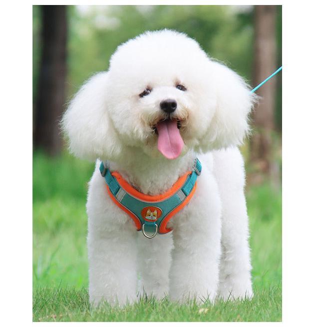 中型犬 簡単装着 犬 犬の 胴輪 小型犬 かわいい 脱げない 犬用 おしゃれ 大型犬 リード ハーネス