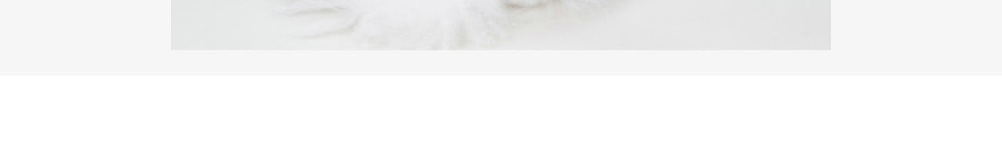 猫 犬 洋服 犬服 ペット服 大中小型犬 ペット用品 犬/猫用 犬の服 ペットウエア 小型犬 中型犬 通気 可愛い ドッグウェア トレーナー 犬 服 ワンピース サロペット ビションフリーゼ 犬猫服