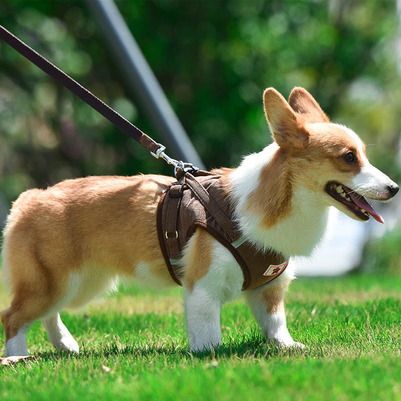 犬 小型犬中型犬 おしゃれな 苦しくない 高級秋冬物 4カラー 脱げない ハーネスリード